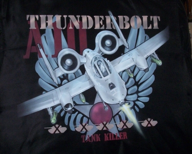 Nylon Flight jacket painted with Createx AutoAir Acrylic Enamels