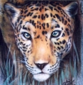 CHEETAH_JACKET THUMB