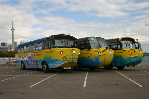 Toronto Hippo Tours Amphibious Bus Fleet