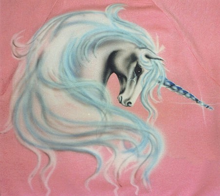 Unicorn on kids sweashirt