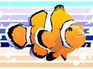 davesclownfish thumb