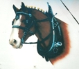 horse trailer 