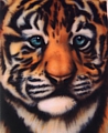 tiger cub THUMB