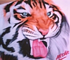 tiger_shirt_thumb